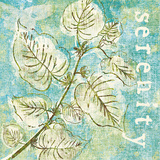 Spring Renewal III Plakater af Lisa Petty