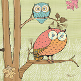 Pastel Owls I Affiche par Paul Brent