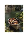 Memories of the Old Lake II Giclée-tryk af Carlos Casamayor Memories of the Old Lake II Giclée-tryk af Carlos Casamayor