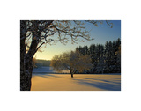 Sweden Giclee Print by Maciej Duczynski