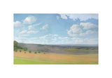 Hayfield I Giclee Print by Elissa Gore