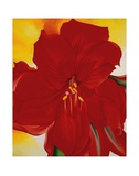 Red Amaryllis, c.1937 Kunstdruck von Georgia O'Keeffe