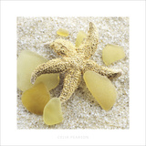 Sea Glass, Yellow Poster by Celia Pearson