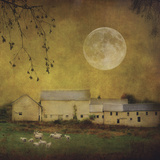 Sheep Under a Harvest Moon Posters por Dawne Polis
