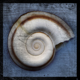 Snail Posters by John Golden