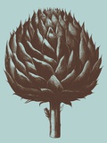 Artichoke, no. 18 Prints