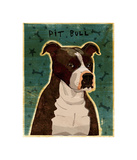 Brindle Pit Bull Giclee Print by John Golden