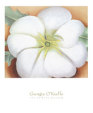 White Flower on Red Earth, No. 1, c.1946 Posters by Georgia O'Keeffe
