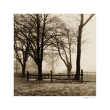Woods with Fence Affiches par Harold Silverman