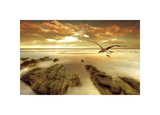 Soft Sunrise on the Beach, no. 4 Giclee Print by Carlos Casamayor