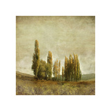 Autumnal Feelings Giclee Print by Carlos Casamayor
