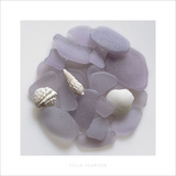 Sea Glass, Lavender II Poster by Celia Pearson