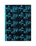 Green Disaster Ten Times, c.1963 Poster por Andy Warhol Green Disaster Ten Times, c.1963 Poster por Andy Warhol
