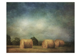 Hay Rolls Posters by Dawne Polis