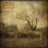 Hayrollers Posters by Dawne Polis