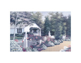 In Full Bloom Prints by Diane Romanello