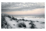 Warm Skies Prints by Harold Silverman