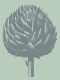 Artichoke, no. 8 Prints