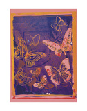 Vanishing Animals: Butterflies, c.1986 (Peach on Navy) Poster af Andy Warhol Vanishing Animals: Butterflies, c.1986 (Peach on Navy) Poster af Andy Warhol