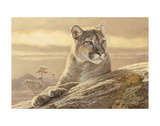 Desert Sunrise Prints by Kalon Baughan