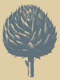 Artichoke, no. 1 Poster