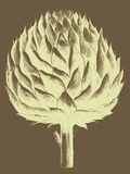Artichoke, no. 4 Art