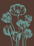 Tulip, no. 6 Prints