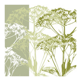 Delicate Greens Giclee Print by Erin Clark