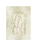 Entwined Grace Impressão giclée por Dominique Gaudin Entwined Grace Impressão giclée por Dominique Gaudin