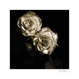 Circus Roses Poster von Michael Harrison