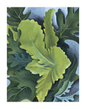 Green Oak Leaves, c.1923 Prints by Georgia O'Keeffe