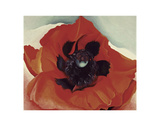 Poppy, c.1927 Posters par Georgia O'Keeffe