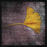 Ginkgo IV Art par John Golden