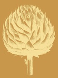 Artichoke, no. 20 Prints