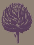 Artichoke, no. 14 Posters