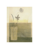 Fleurs du matin reproduction procédé giclée par Dominique Gaudin
