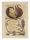 Infant Joy. from 'songs of Innocence' Giclee Print by William Blake