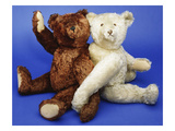 A Fine Steiff White Plush Covered Teddy Bear and a Fine Steiff Rich Cinnamon Plush Covered Teddy… Giclee Print