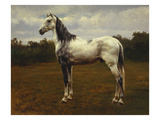 A Grey Camarguen Stallion in a Clearing reproduction procédé giclée par Rosa Bonheur