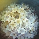 Hortensia Portrait Art par Lisa Audit