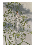 A Fairy Standing Among Grass Impressão giclée por Amelia Jane Murray