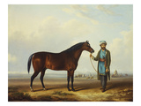 An Arab Stallion Held by a Groom with an Encampment Beyond Giclee Print by Charles Towne