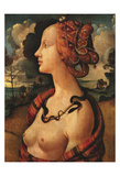 Portrait of Simonetta Vespucci, c. 1480 Plakaty autor Piero di Cosimo Portrait of Simonetta Vespucci, c. 1480 Plakaty autor Piero di Cosimo