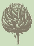 Artichoke, no. 11 Prints