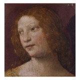 The Head of an Angel - a Fragment Giclee-trykk av Luini Bernardino