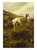 Two Setters Pointing at Quail Giclee Print by Percival L. Rosseau Two Setters Pointing at Quail Giclee Print by Percival L. Rosseau
