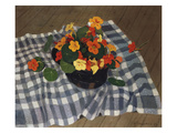 Bowl of Nasturtiums reproduction procédé giclée par Felix Vallotton
