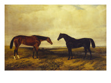  - william-luker-the-earl-of-granards-s-bright-bay-filly-and-dark-bay-stallion-standing-in-an-extensive-landscape