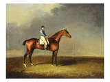 His Royal Highness, the Prince of Wales' Bay Racehorse 'sir David' by 'Trum Giclee Print by Henry Bernard Chalon