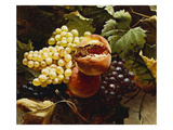 Pomegranates and Grapes Giclee Print by Michelangelo Meucci